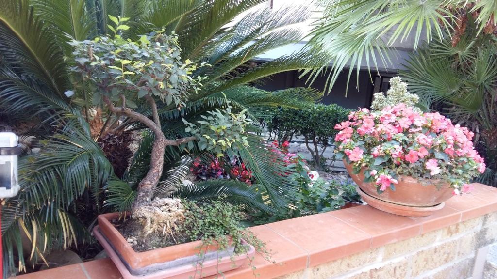 B&B Mirella Città Sant'Angelo Exterior foto